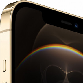 Apple iPhone 12 Pro Max 256Gb (Gold) MGDE3