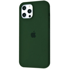 Чохол Silicone Case With MagSafe for iPhone 12 Pro Max (Cyprus Green)