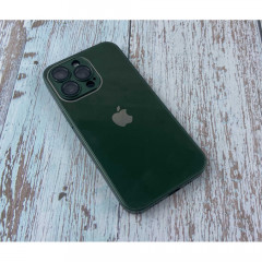 Silicone Case 9D-Glass Box iPhone 11 (Cangling Green)
