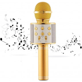 Безпровідний мікрофон караоке Profit WS-858  (Gold)